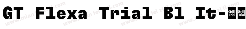 GT Flexa Trial Bl It字体转换